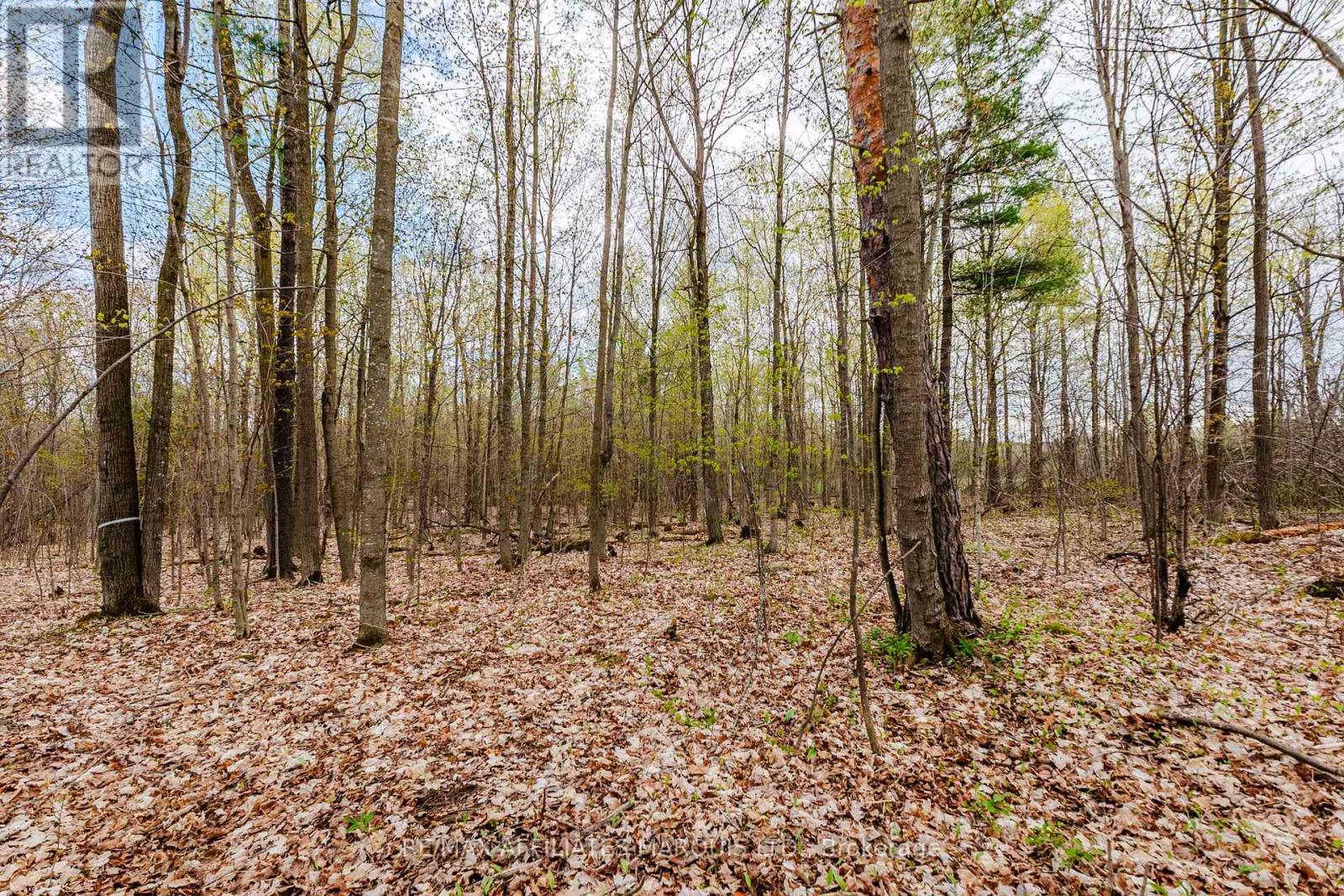 00000 Beaver Brook Road, South Glengarry, ON