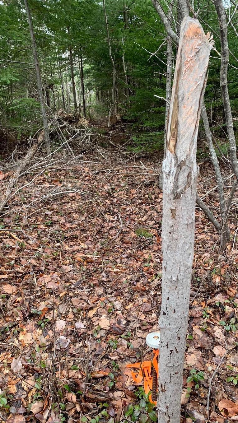 Lot 24-3 Little Harbour Road, Frasers Mountain, NS