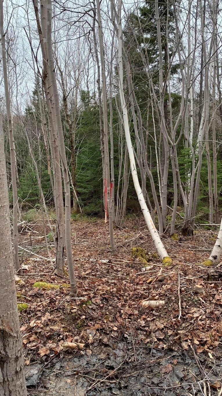 Lot 24-3 Little Harbour Road, Frasers Mountain, NS