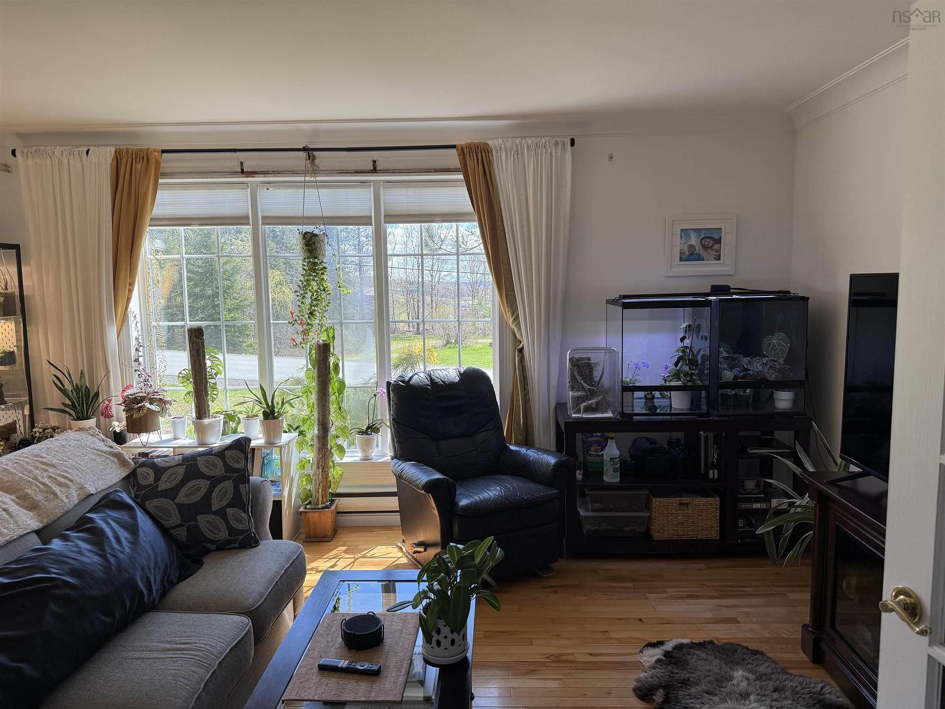 39 Munroe Ave Extension, Westville Road, NS