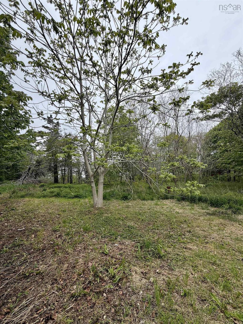 8721 Highway 101, Brighton, NS