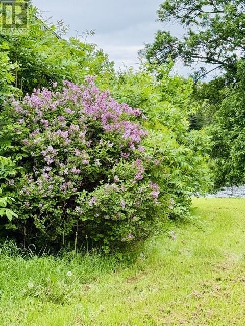 760 River Rd, Massey, ON