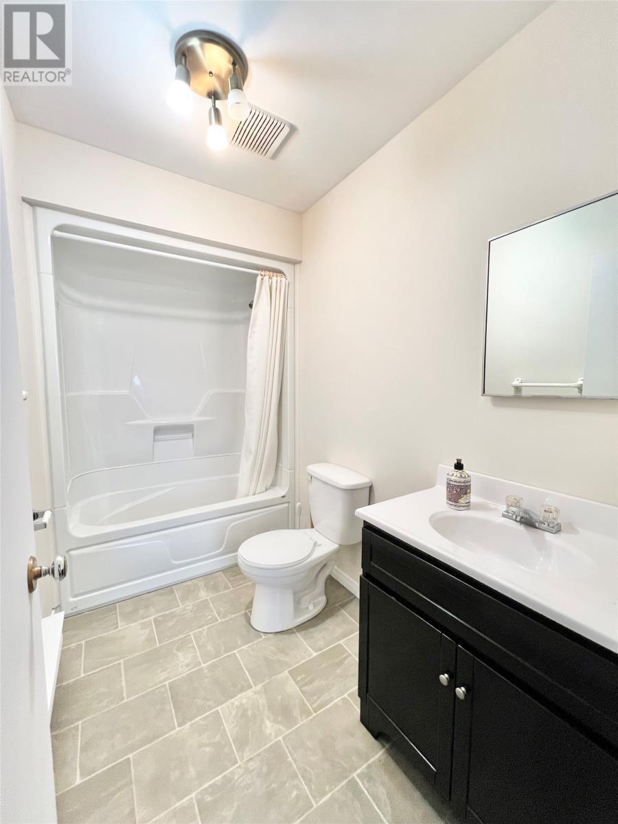 11 Fourth Avenue, Badger, NL - Indoor Photo Showing Bathroom