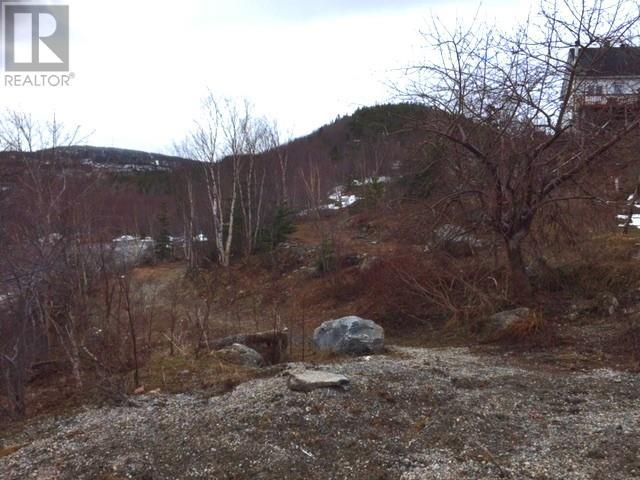 0 Gale Street, Corner Brook, NL