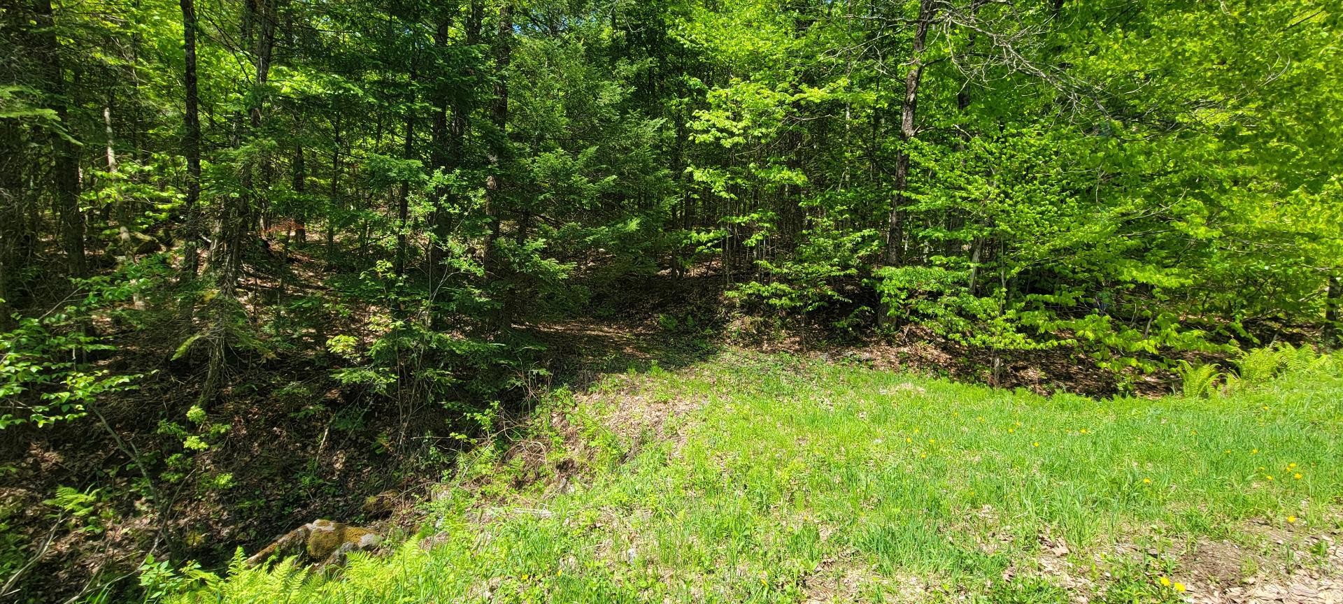 Lot - 56 Ch. Du Mica, Val-Des-Monts, QC
