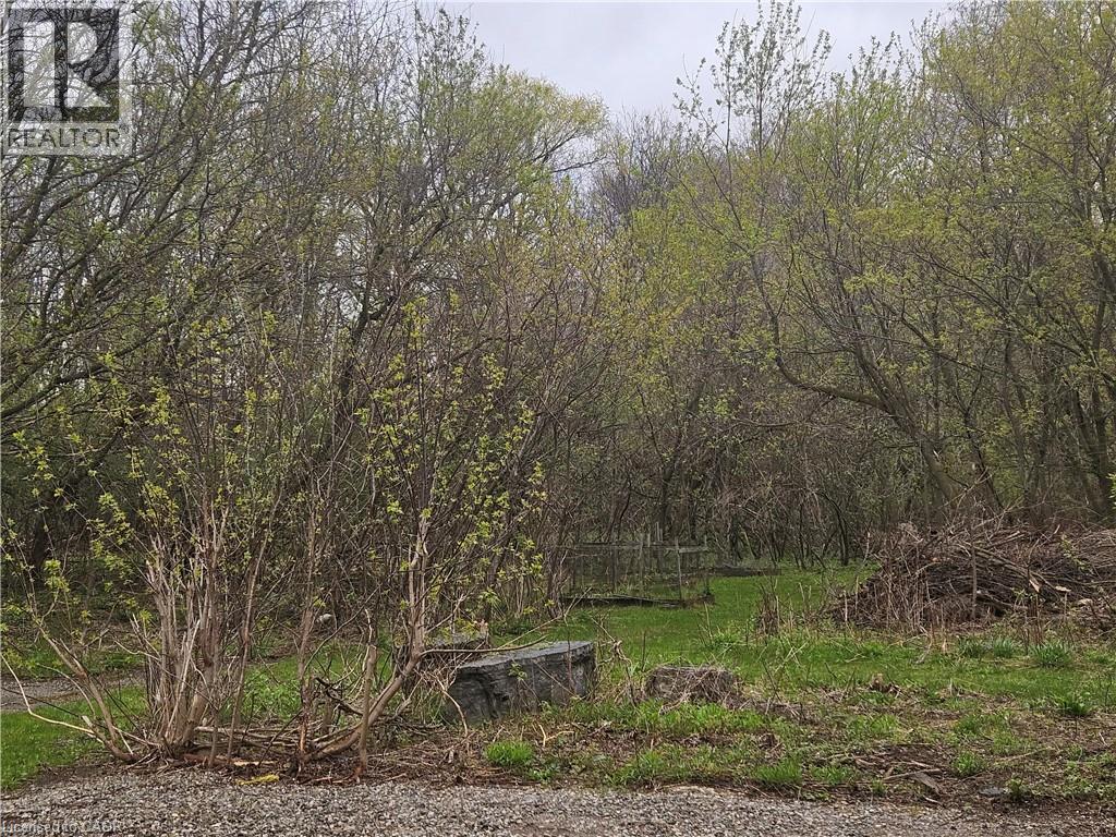 152 Homewood Avenue, Kitchener, ON - Outdoor