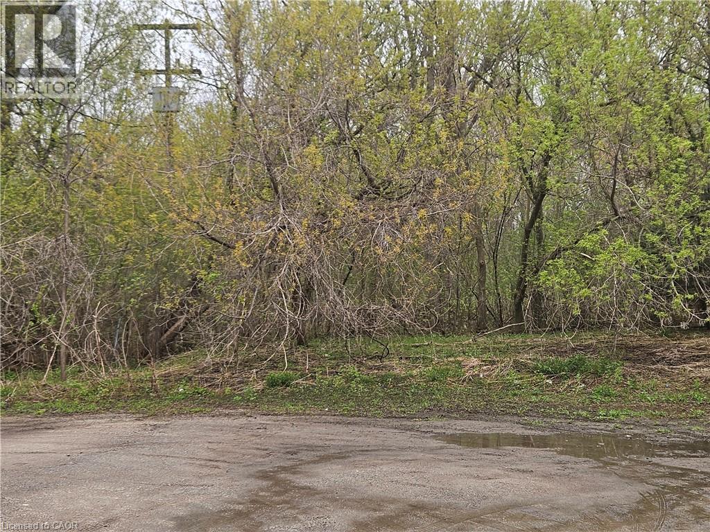 152 Homewood Avenue, Kitchener, ON - Outdoor With View