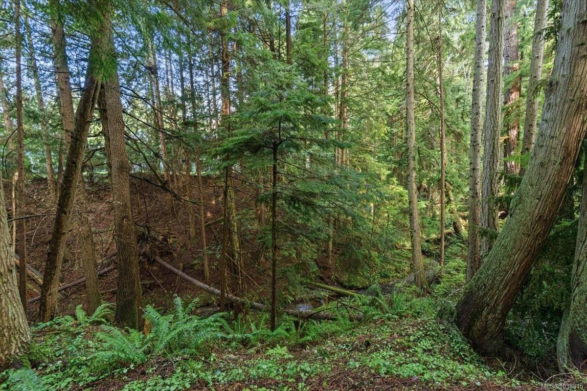 324 Chester Rd, Qualicum Beach, BC