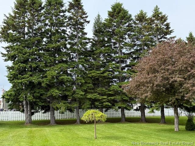 94 Chaleur St, Charlo, NB