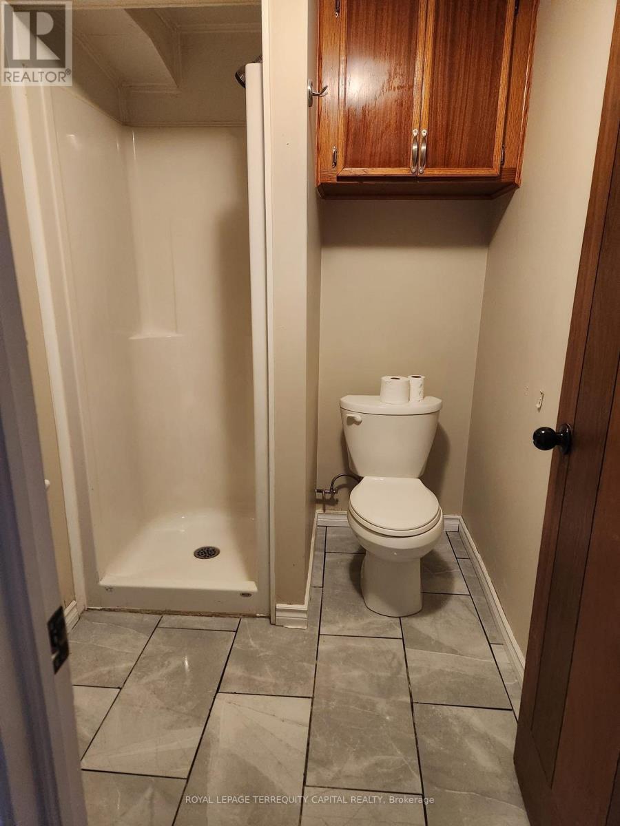Lower - 73 Hickory Heights Crescent, Kitchener, ON - Indoor Photo Showing Bathroom