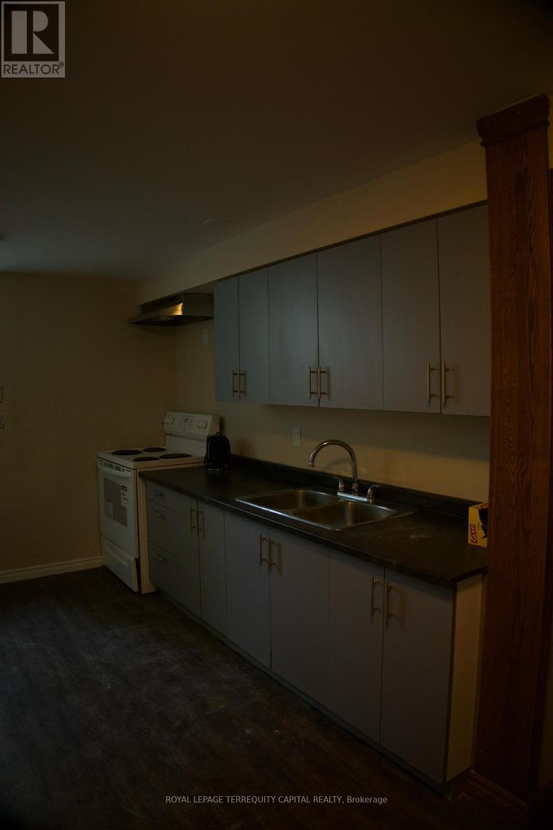 Lower - 73 Hickory Heights Crescent, Kitchener, ON - Indoor Photo Showing Kitchen With Double Sink