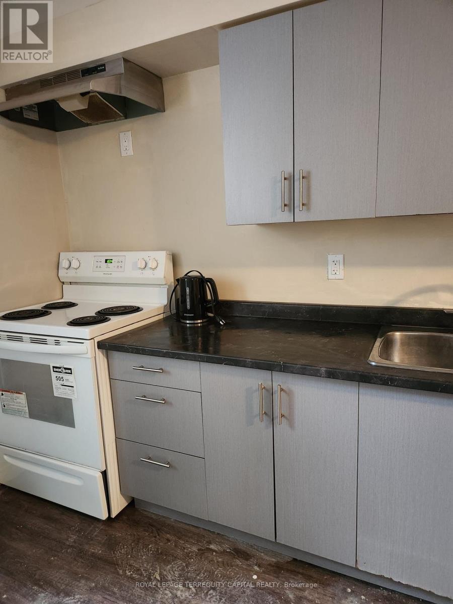Lower - 73 Hickory Heights Crescent, Kitchener, ON - Indoor Photo Showing Kitchen