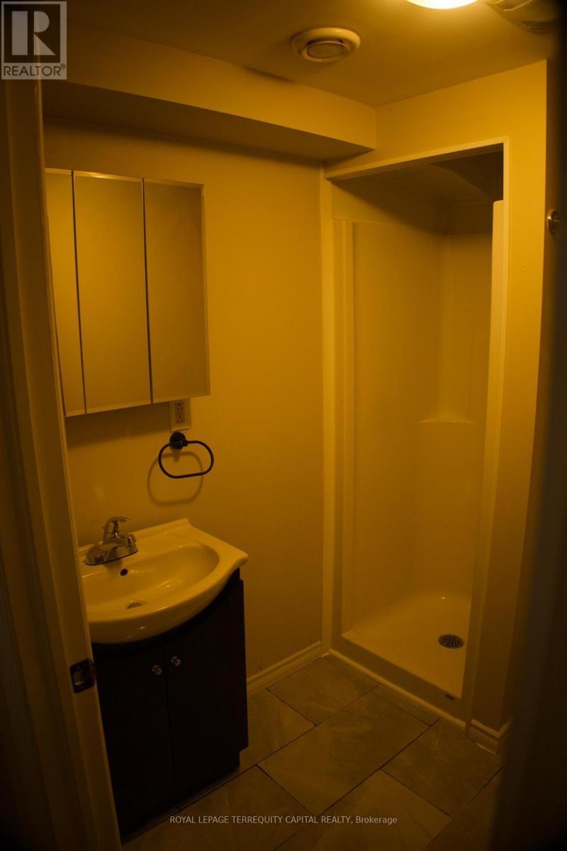 Lower - 73 Hickory Heights Crescent, Kitchener, ON - Indoor Photo Showing Bathroom