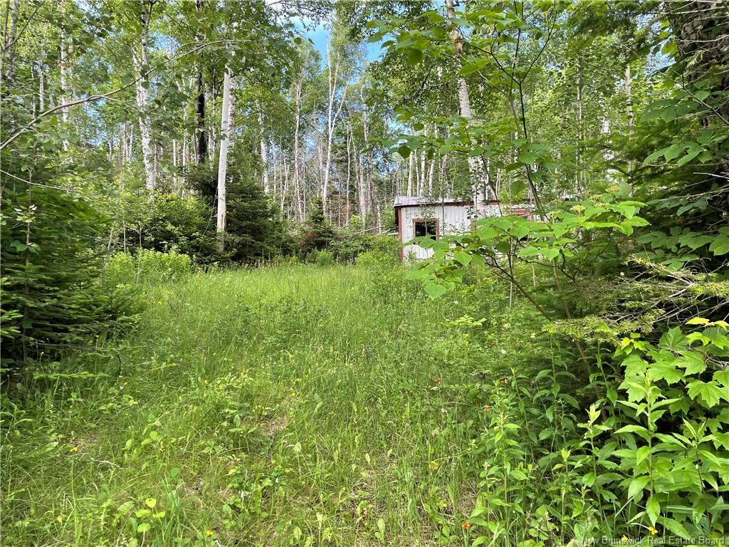 755 Cape Road, Newburg, NB