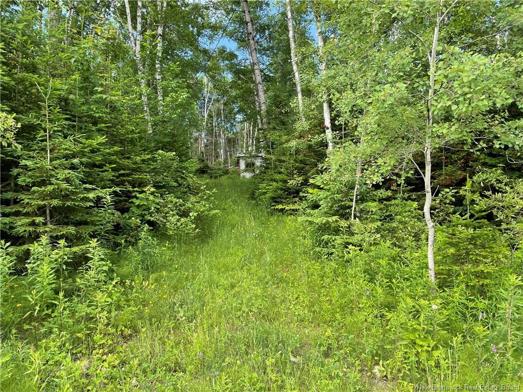 755 Cape Road, Newburg, NB