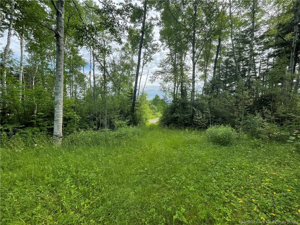 755 Cape Road, Newburg, NB