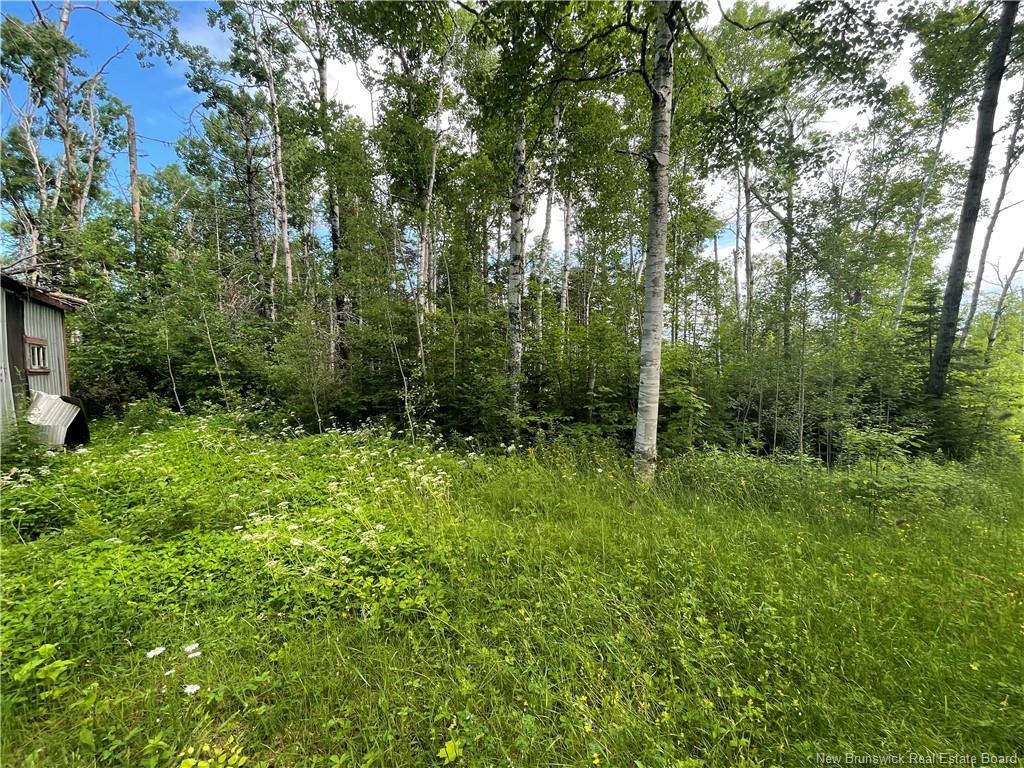 755 Cape Road, Newburg, NB