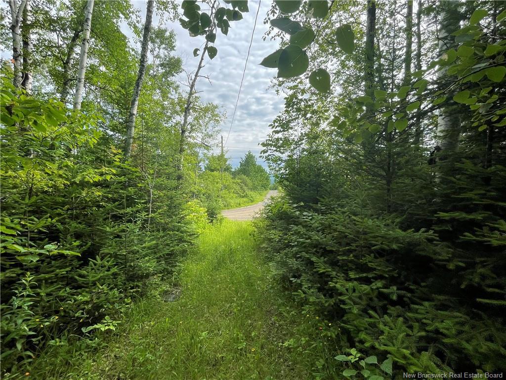 755 Cape Road, Newburg, NB