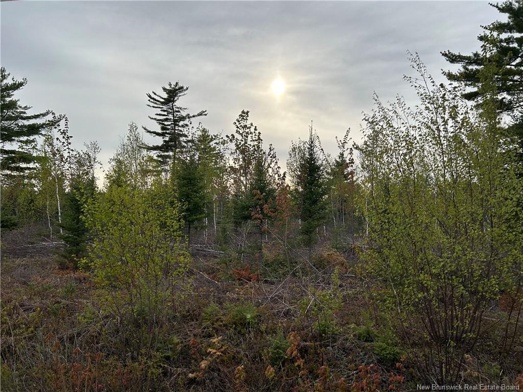 Lot Weaver Siding Rd, Upper Blackville, NB