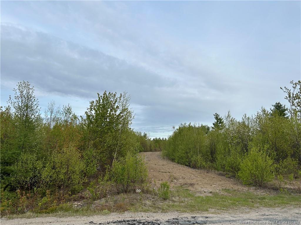 Lot Weaver Siding Rd, Upper Blackville, NB