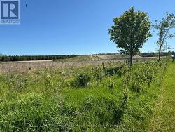 dirt pile for grading -