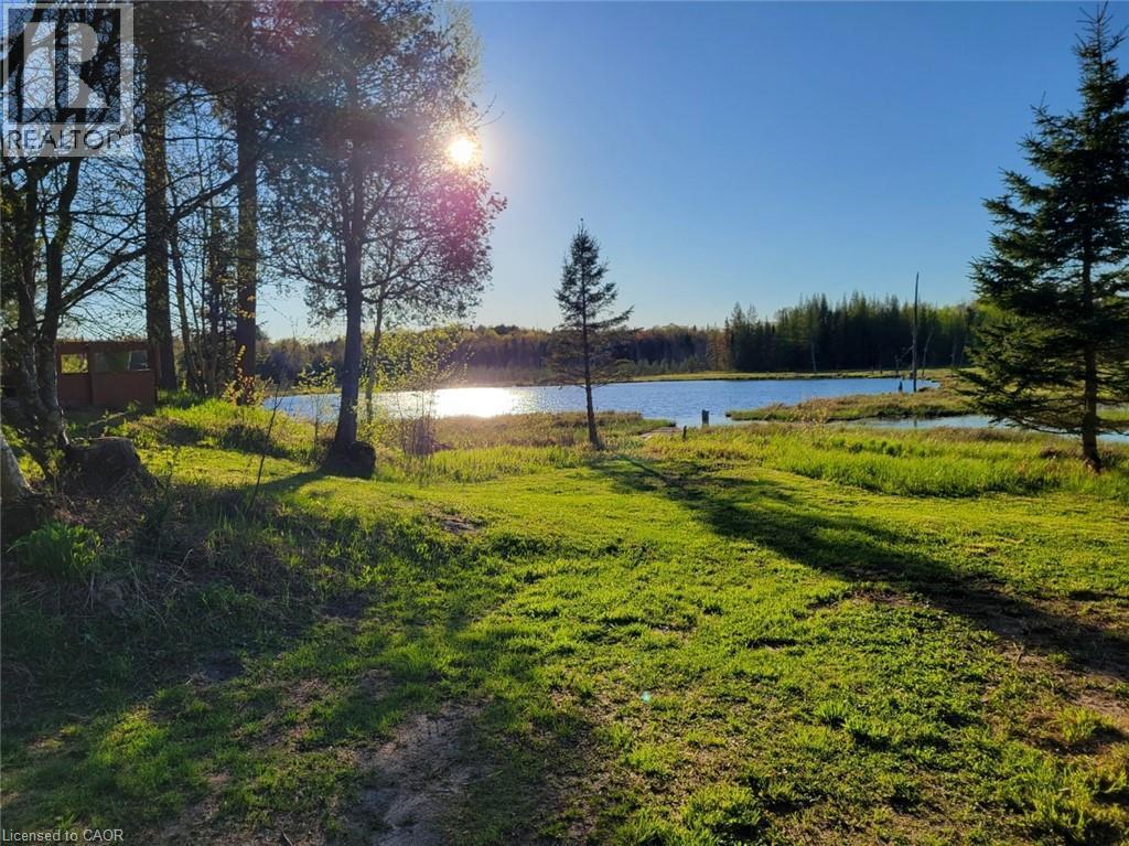 Expansive grassy landscape with a natural pond and dense tree lines - 1006 Hurdville Road, Mckellar, ON - Outdoor With View