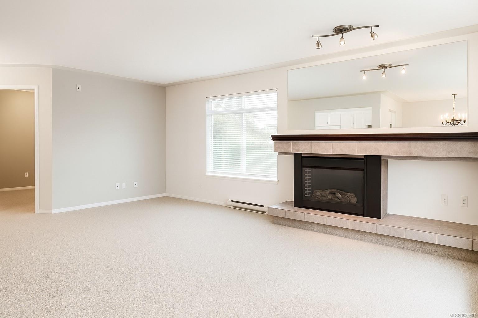 #207-2568 Dingwall St, Duncan, BC - Indoor Photo Showing Living Room With Fireplace