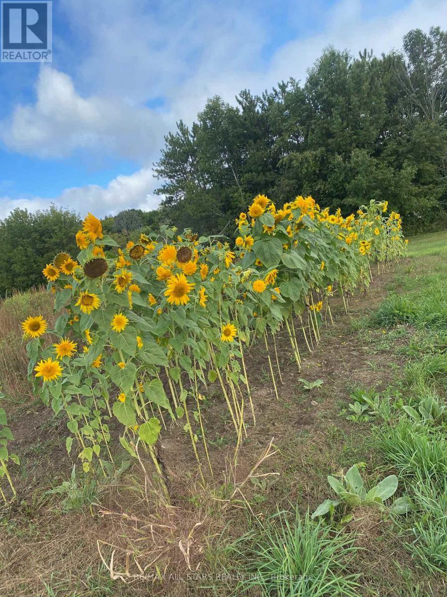 Plenty of land to grow vegetables & flowers - 10655 Sideroad 17, Brock, ON