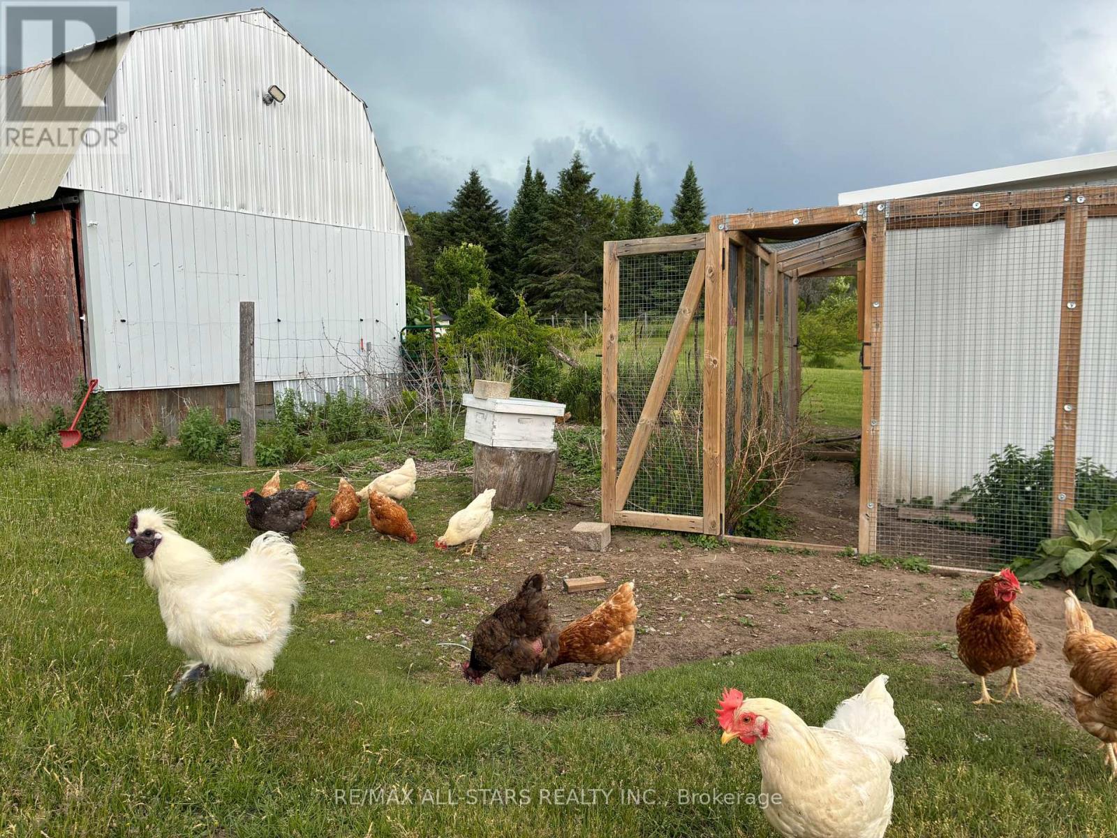 Coop-50 laying hens. 670 sqft barn - 10655 Sideroad 17, Brock, ON