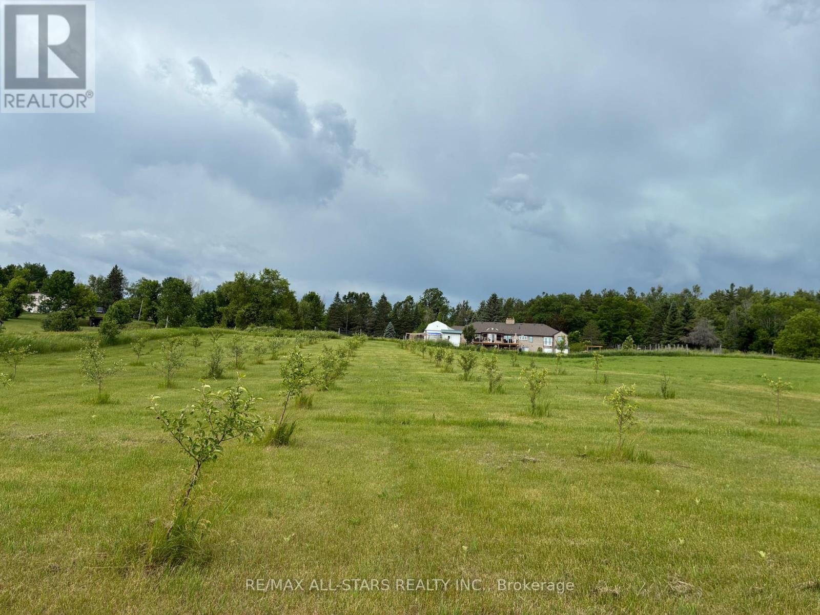 101 Apple trees. 4 delicious varieties - 10655 Sideroad 17, Brock, ON