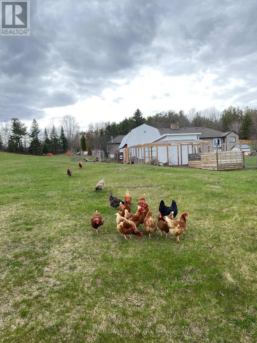 Room to roam! - 10655 Sideroad 17, Brock, ON