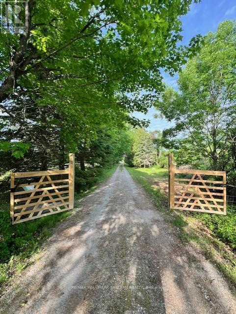 2279 Pigeon Lake Road, Kawartha Lakes (Bobcaygeon), ON - Outdoor
