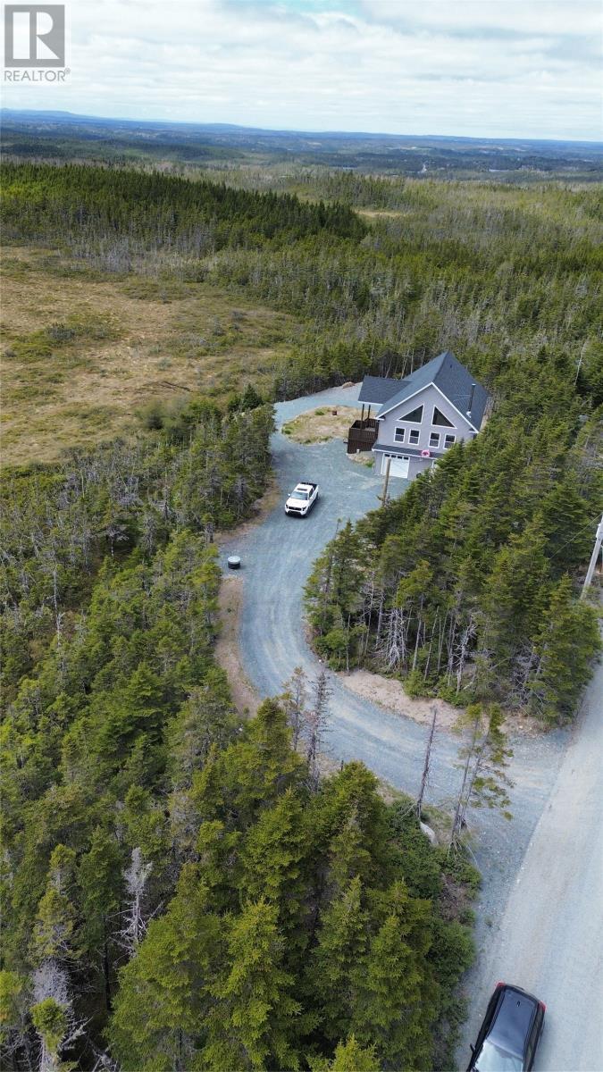 41 Whalen'S Pond Road, Brigus Junction, NL - Outdoor With View