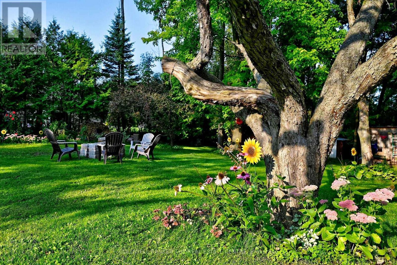 picturesque views - 20805 Brock Road, Brock, ON - Outdoor