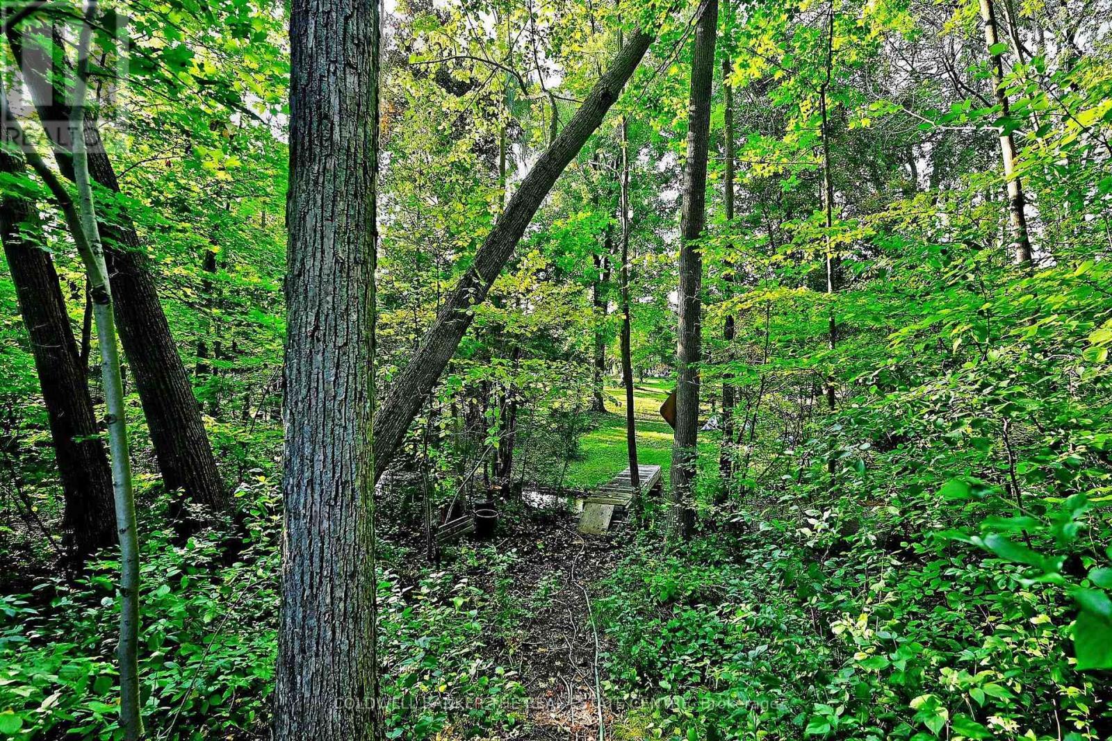 Lush greener - 20805 Brock Road, Brock, ON - Outdoor