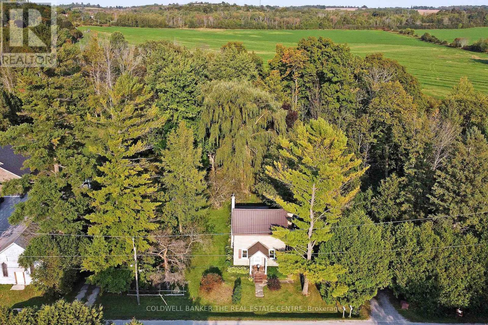 your private treed sanctuary - 20805 Brock Road, Brock, ON - Outdoor With View