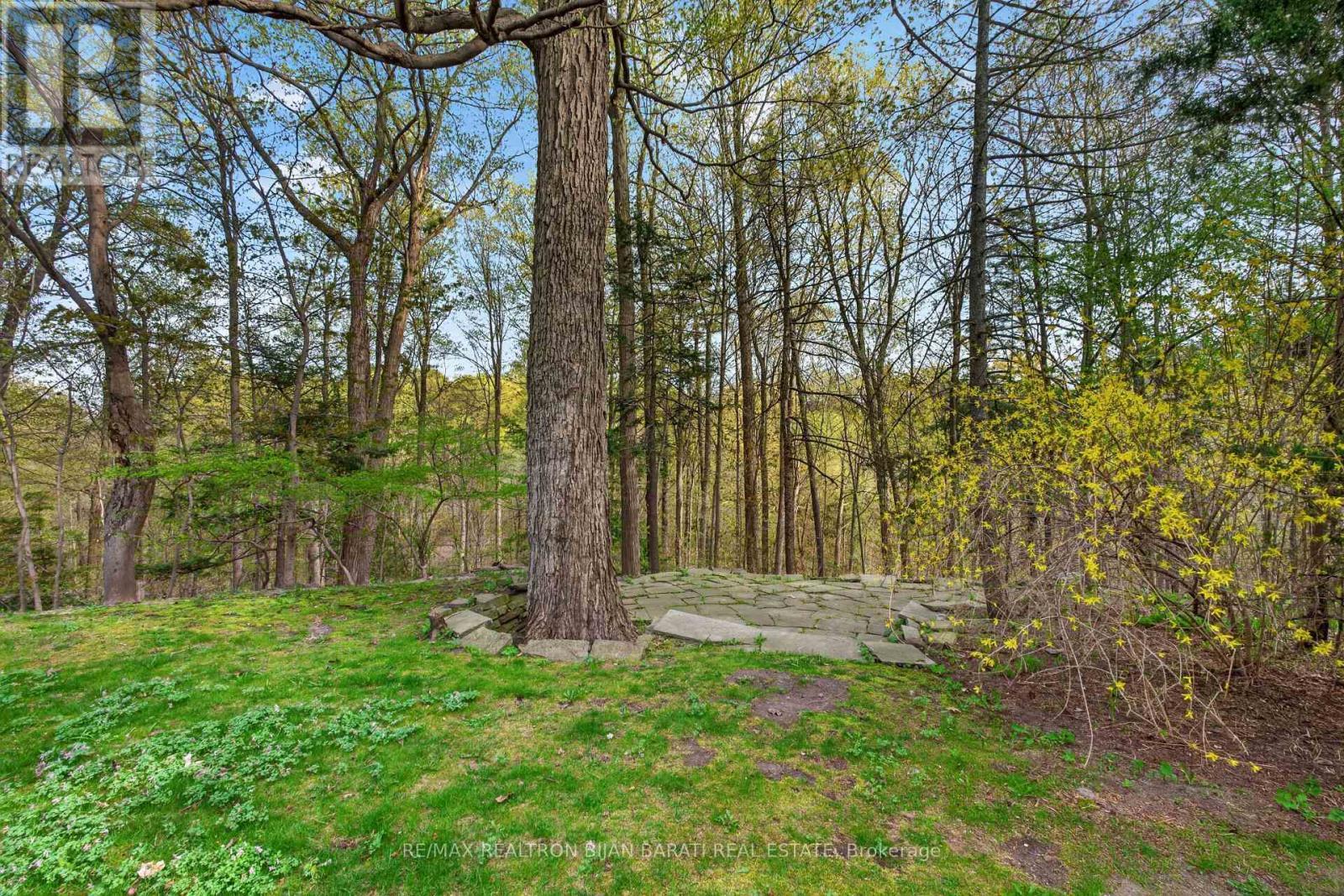 73 Forest Grove Drive, Toronto, ON - Outdoor With View