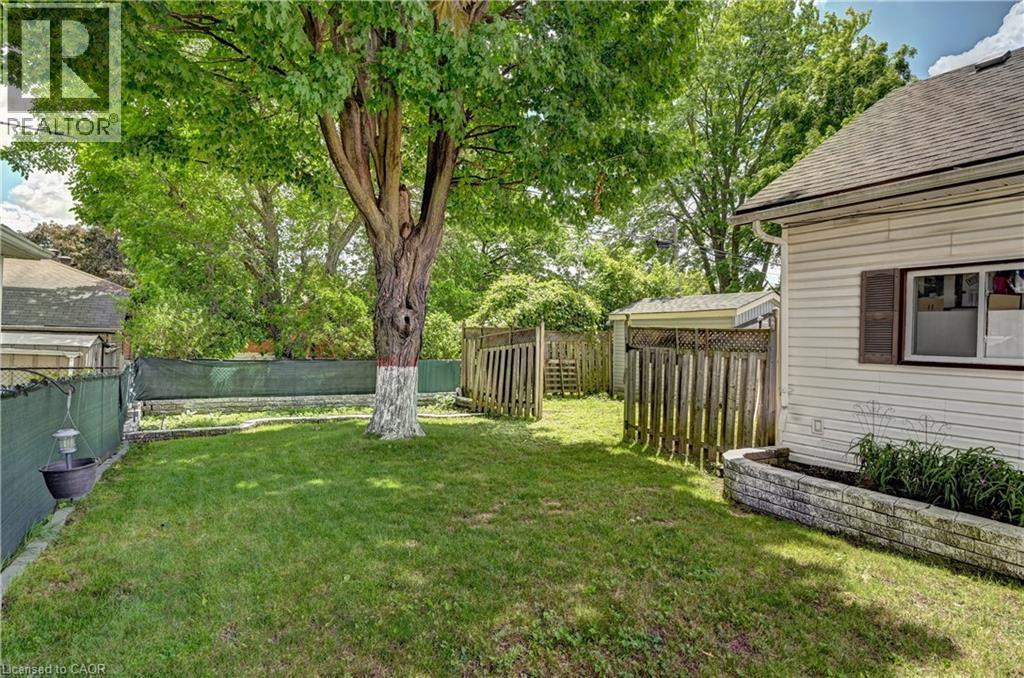 Expansive green lawn featuring a large mature tree - 158 Plymouth Road, Kitchener, ON