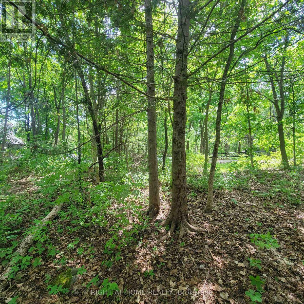 7 Beckenham Lane, Ottawa, ON