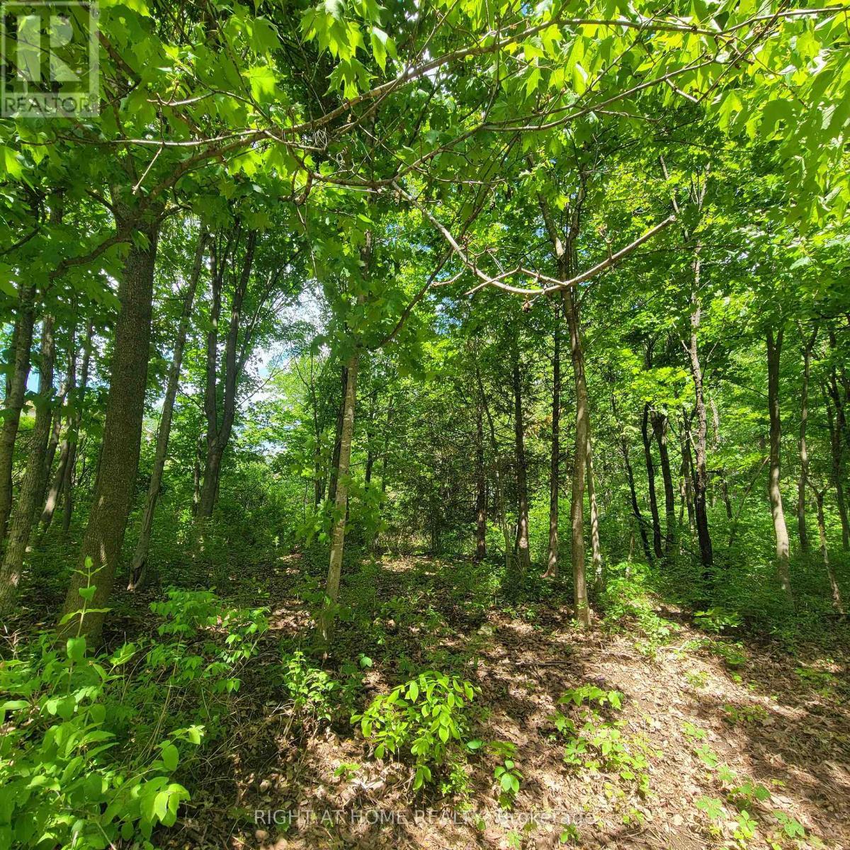 7 Beckenham Lane, Ottawa, ON