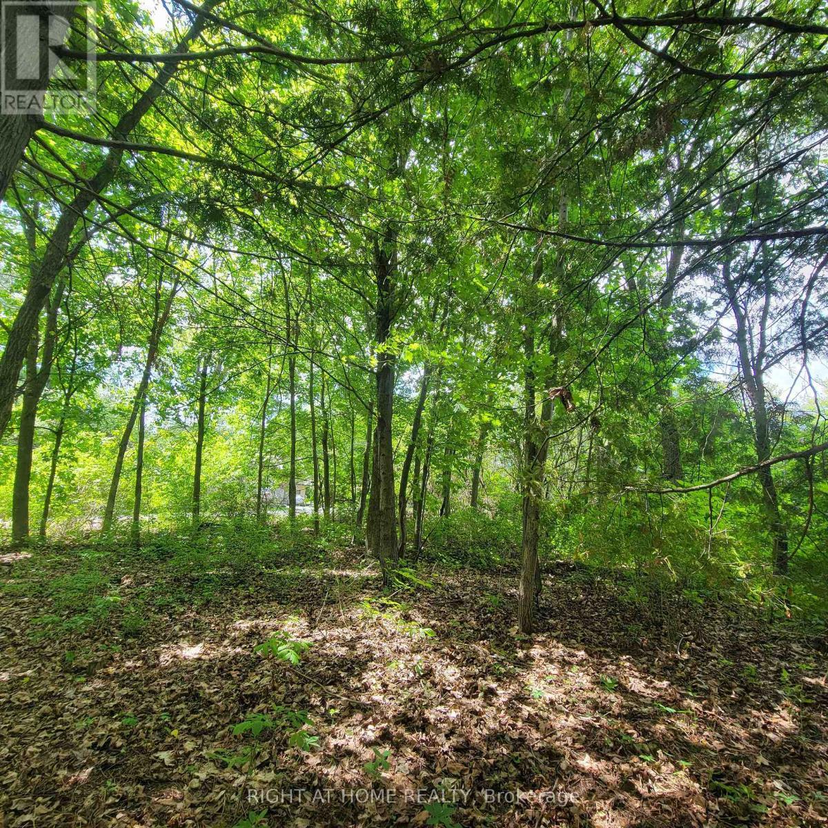 7 Beckenham Lane, Ottawa, ON