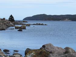 33 Cove Road Colliers, NL A0A 1Y0