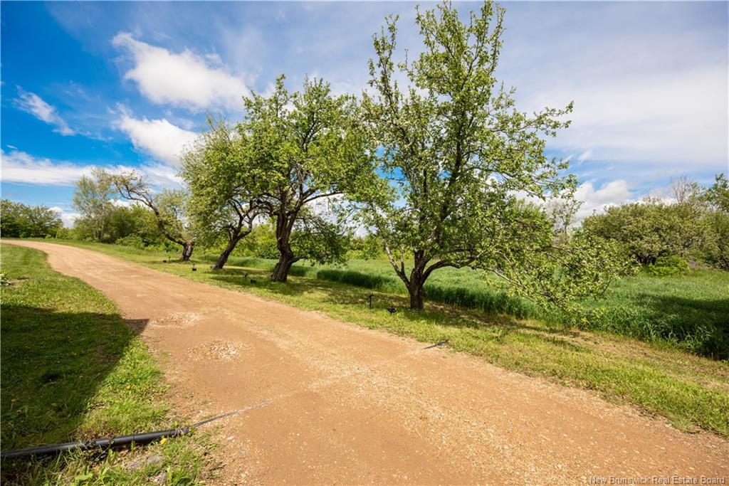 32 Willow Grove Lane, Weldon, NB
