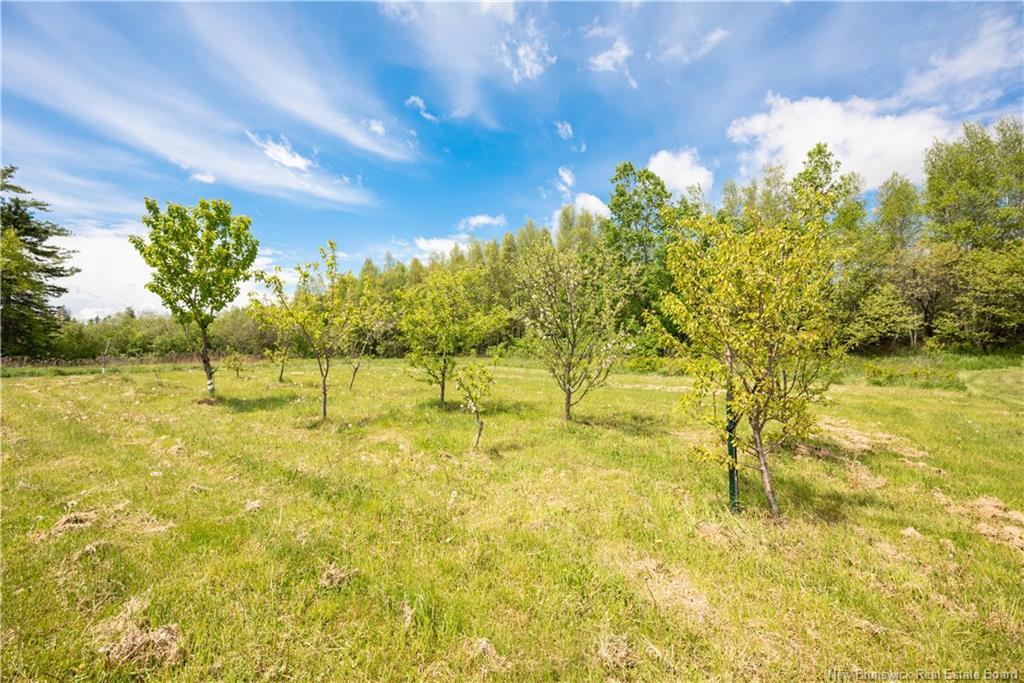 32 Willow Grove Lane, Weldon, NB