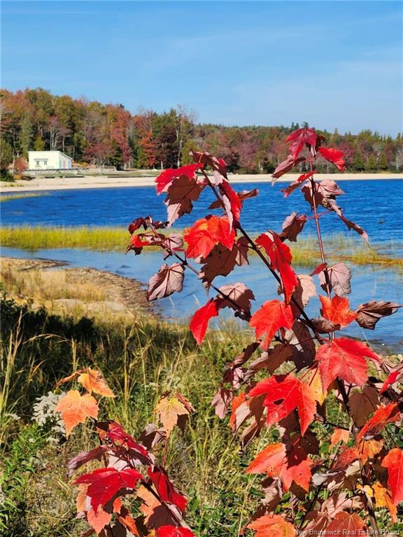 101 Maxwell Road, Canal, NB