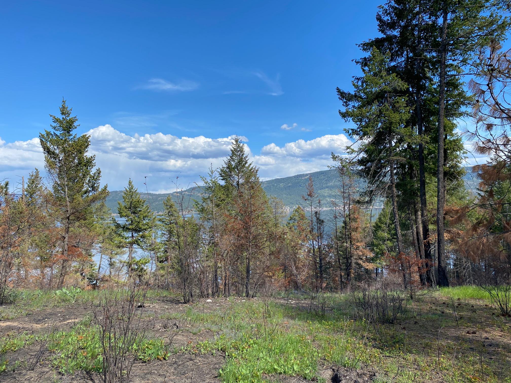 Lot 2 Westside Road, Vernon, BC