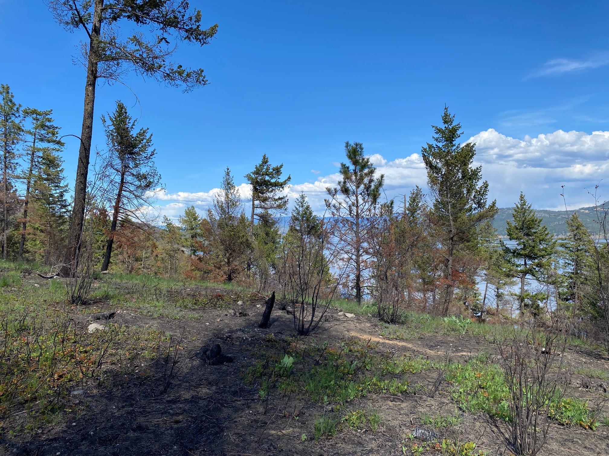 Lot 2 Westside Road, Vernon, BC