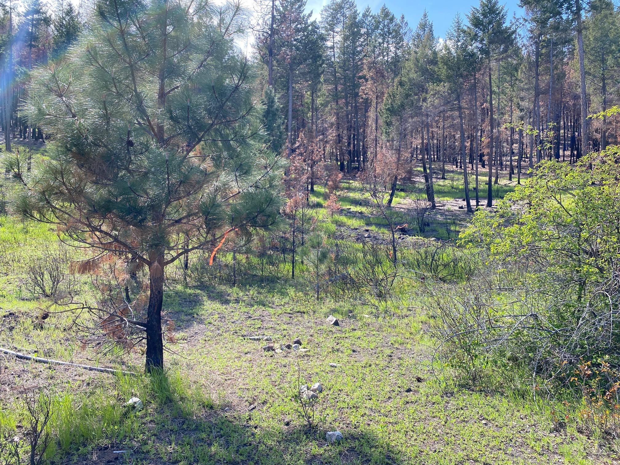 Lot 2 Westside Road, Vernon, BC