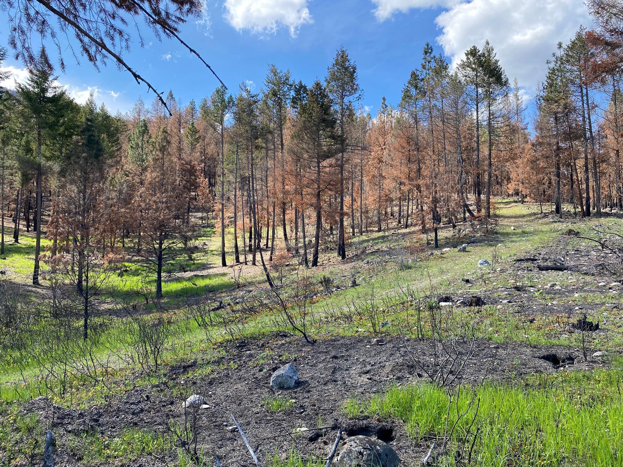 Lot 2 Westside Road, Vernon, BC