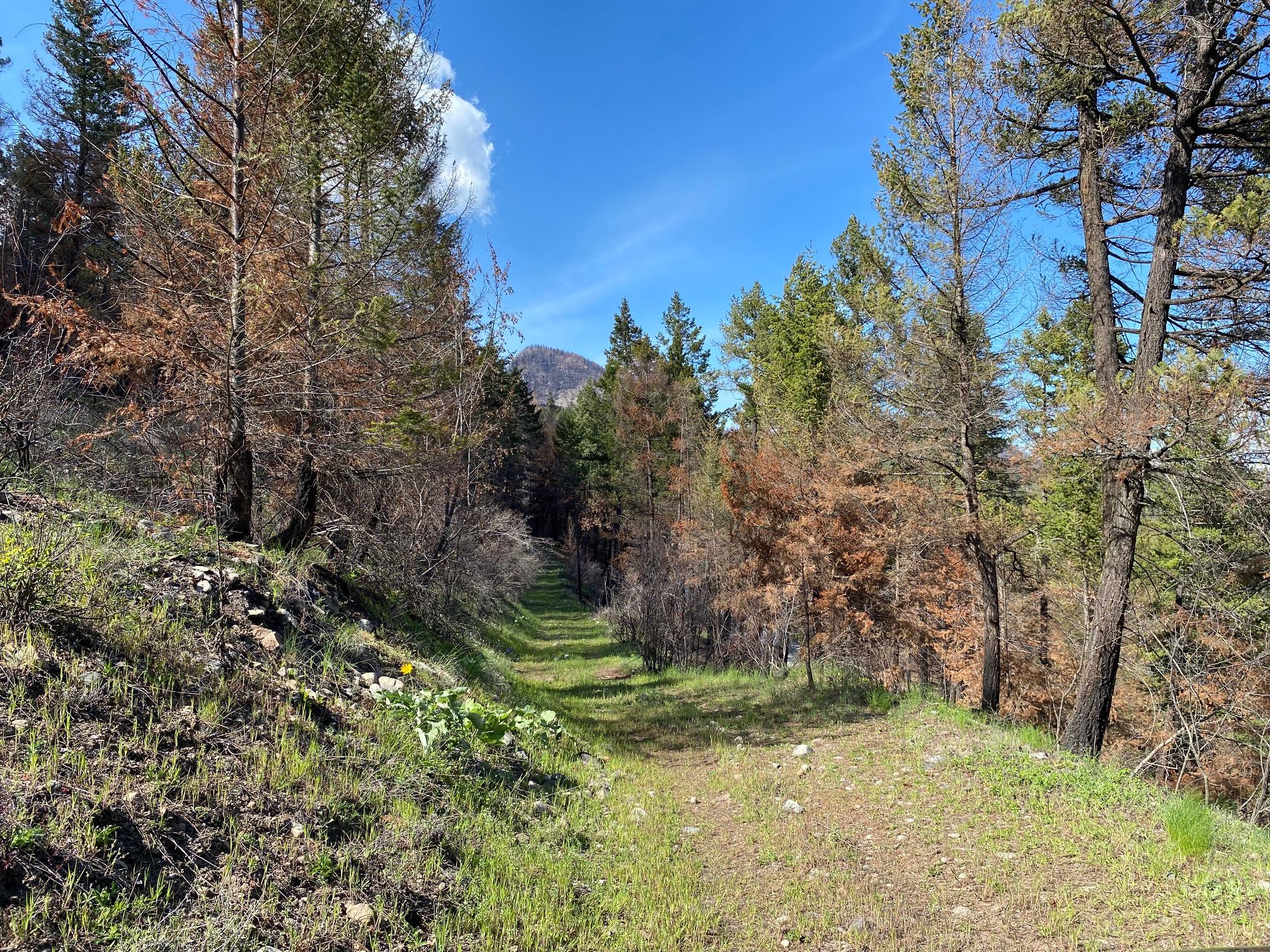 Lot 2 Westside Road, Vernon, BC
